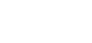 the guild