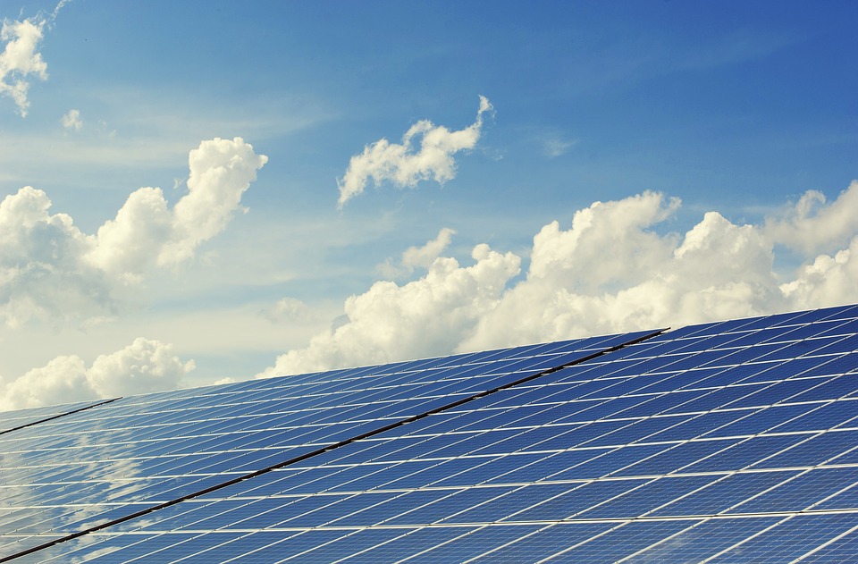 renewable energy companies in Petaluma
